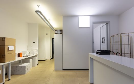 Laboratorio e Magazzino Via Marcantonio dal Re